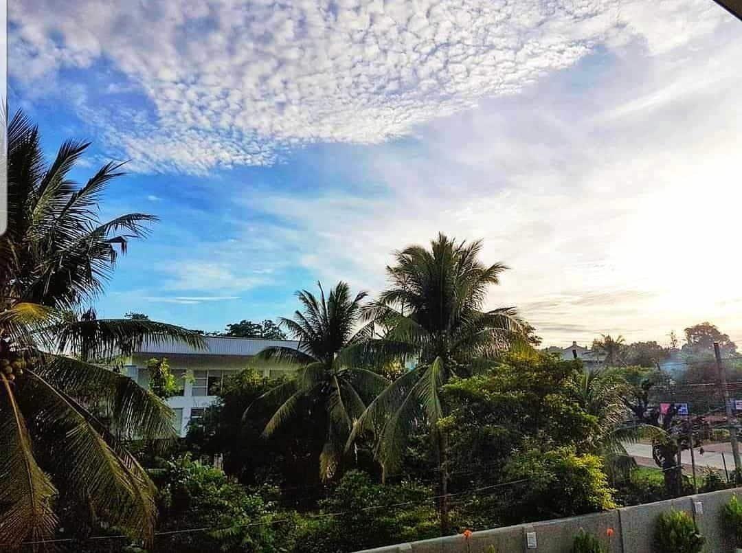 717 Cesar Place Hotel Tagbilaran Eksteriør billede